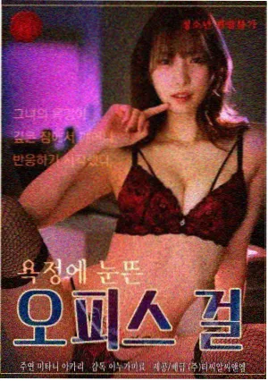雾港迷踪 电视剧在线观看更新